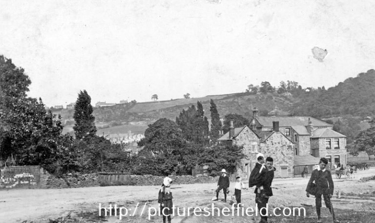 Read more about the article Woodseats Player defeats World Champion Alexander Alekhine