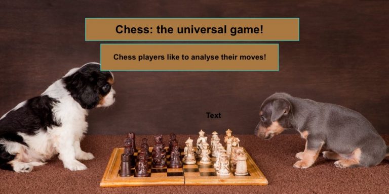 Read more about the article Recruitment of new members!